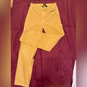 Urban outfitters BDG Tan Carpenter Pants